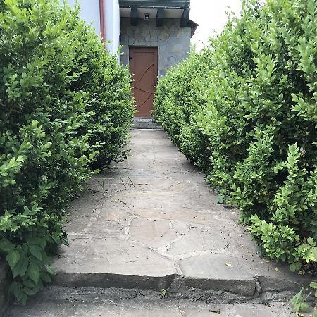 Cottage Shchaslyvyi Яремча Экстерьер фото
